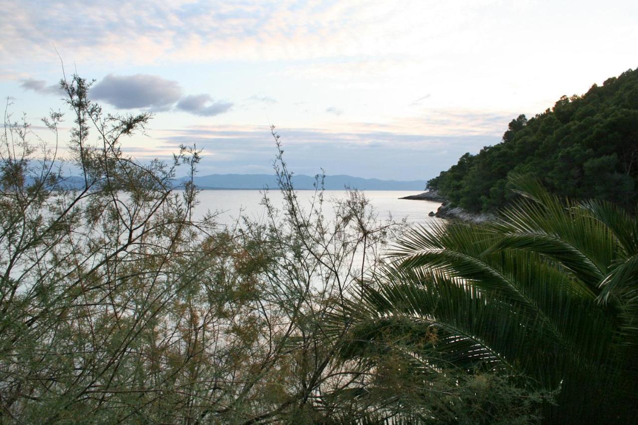 Seaside Secluded Apartments Cove Smokvina, Hvar - 4036 Bogomolje Екстер'єр фото